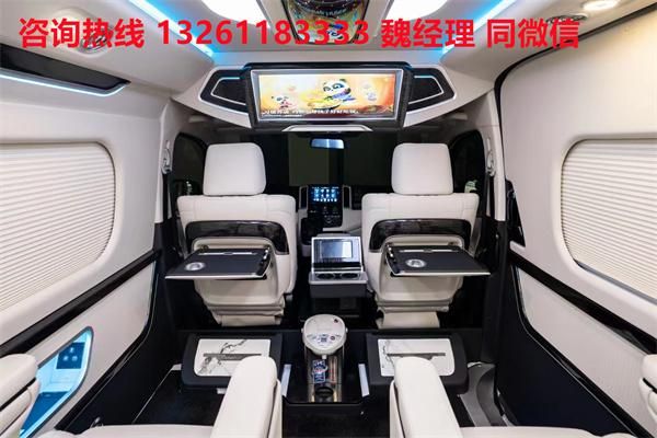 PV 海狮9座大尺寸商务车卖价凯发天生赢家进口丰田海狮蓝牌M(图2)