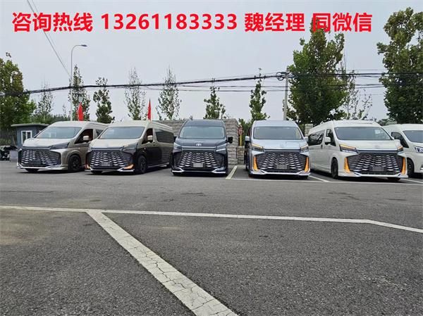 PV 海狮9座大尺寸商务车卖价凯发天生赢家进口丰田海狮蓝牌M(图4)
