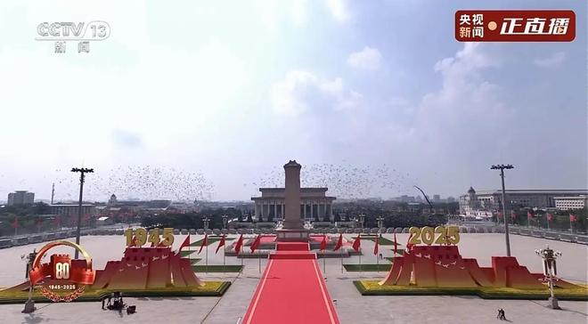 来”的关在特殊笼子放飞有的已经到家了凯发K8登录入口8万羽和平鸽都是“借(图5)