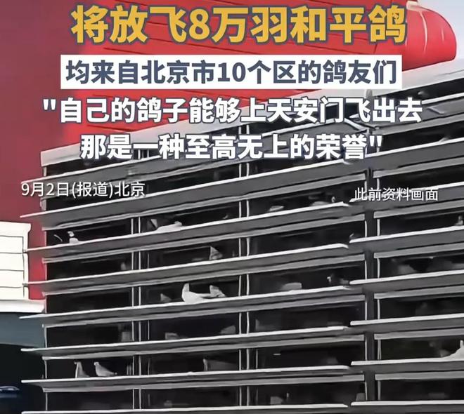 来”的关在特殊笼子放飞有的已经到家了凯发K8登录入口8万羽和平鸽都是“借(图6)
