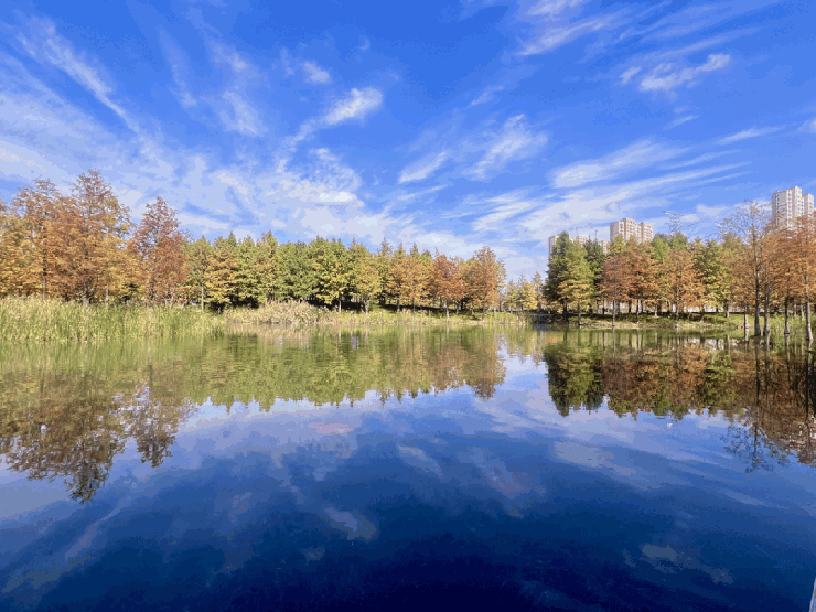 时间-地址-最新房价户型图-小区环境-楼盘详情-交房时间-周边配套售楼处电话凯发k8国际首页登录前滩滨江道首页网站-前滩滨江道售楼处电话-楼盘详情-交房(图15)